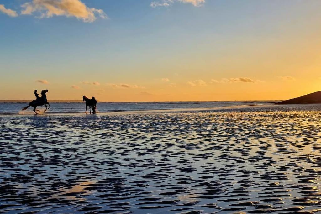 Petit Prince Berck Eksteriør billede